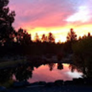 Meet your Posher, Cori